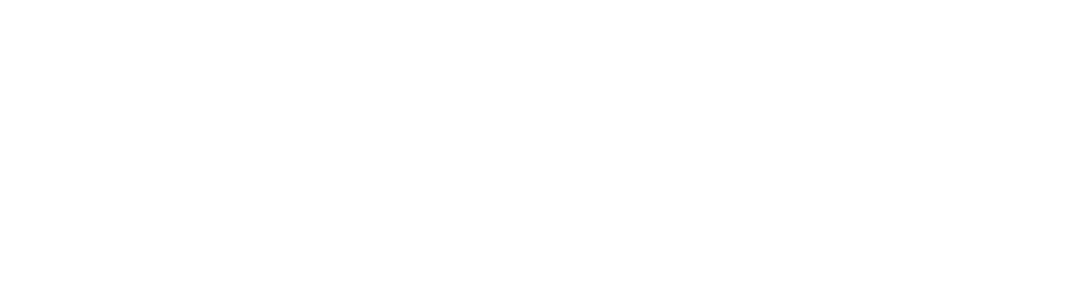S2337016_MAKE_Peri-VEMAVENTURI_LOGO_Horizontal_Weiss_RGB